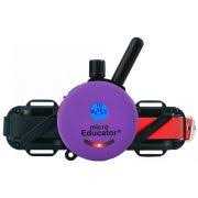 Remote Dog Training Collar R703