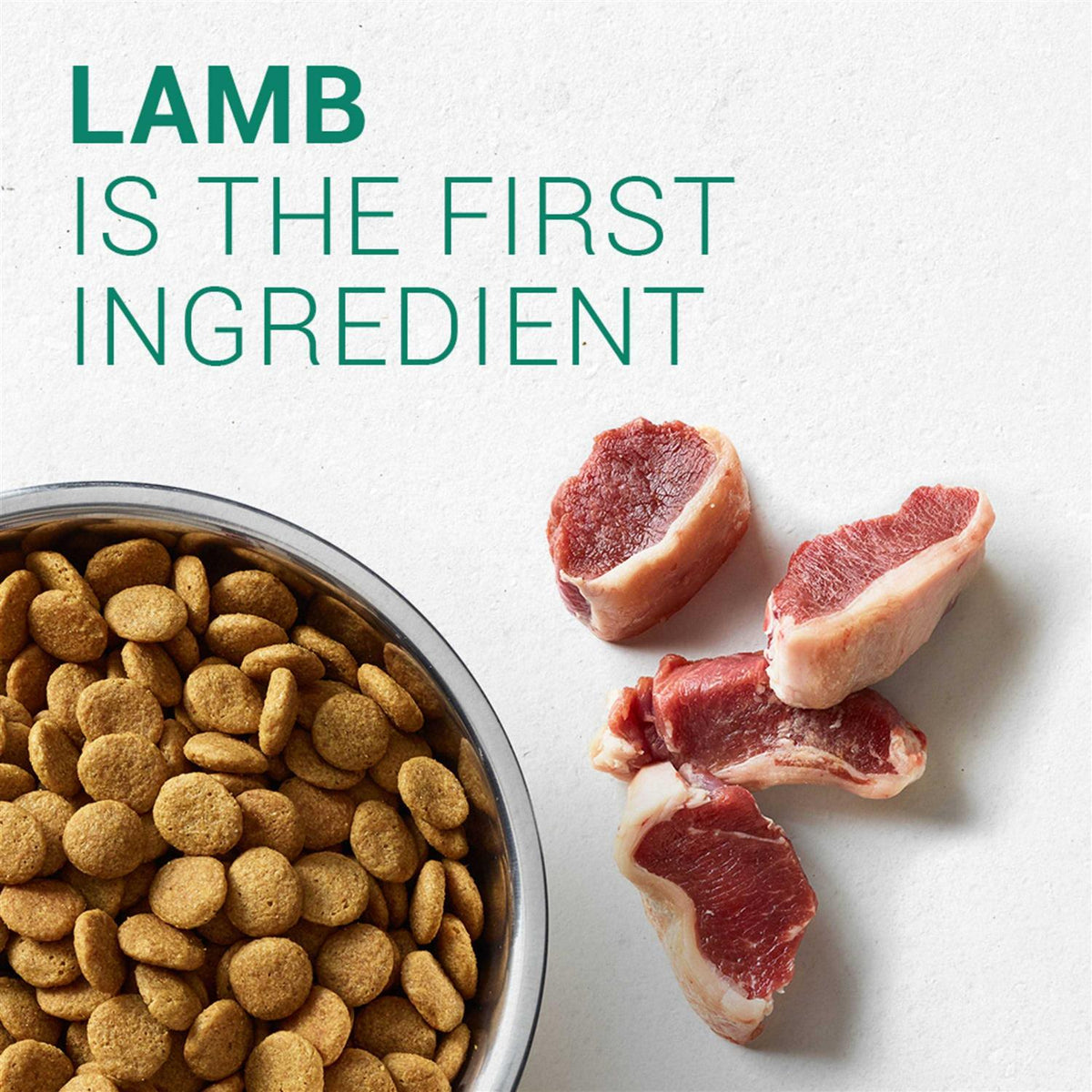 Large Breed Puppy Lamb & Rice Dry Dog Food J543
