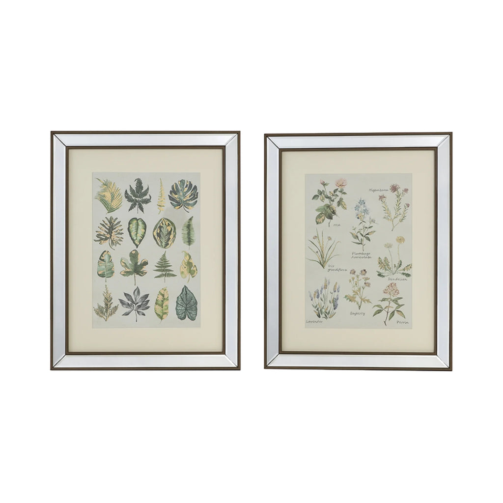 Botanical Framed Wall Art 19.75" x 15.75" 2ct Z8492