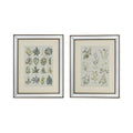 Botanical Framed Wall Art 19.75" x 15.75" 2ct Z8492