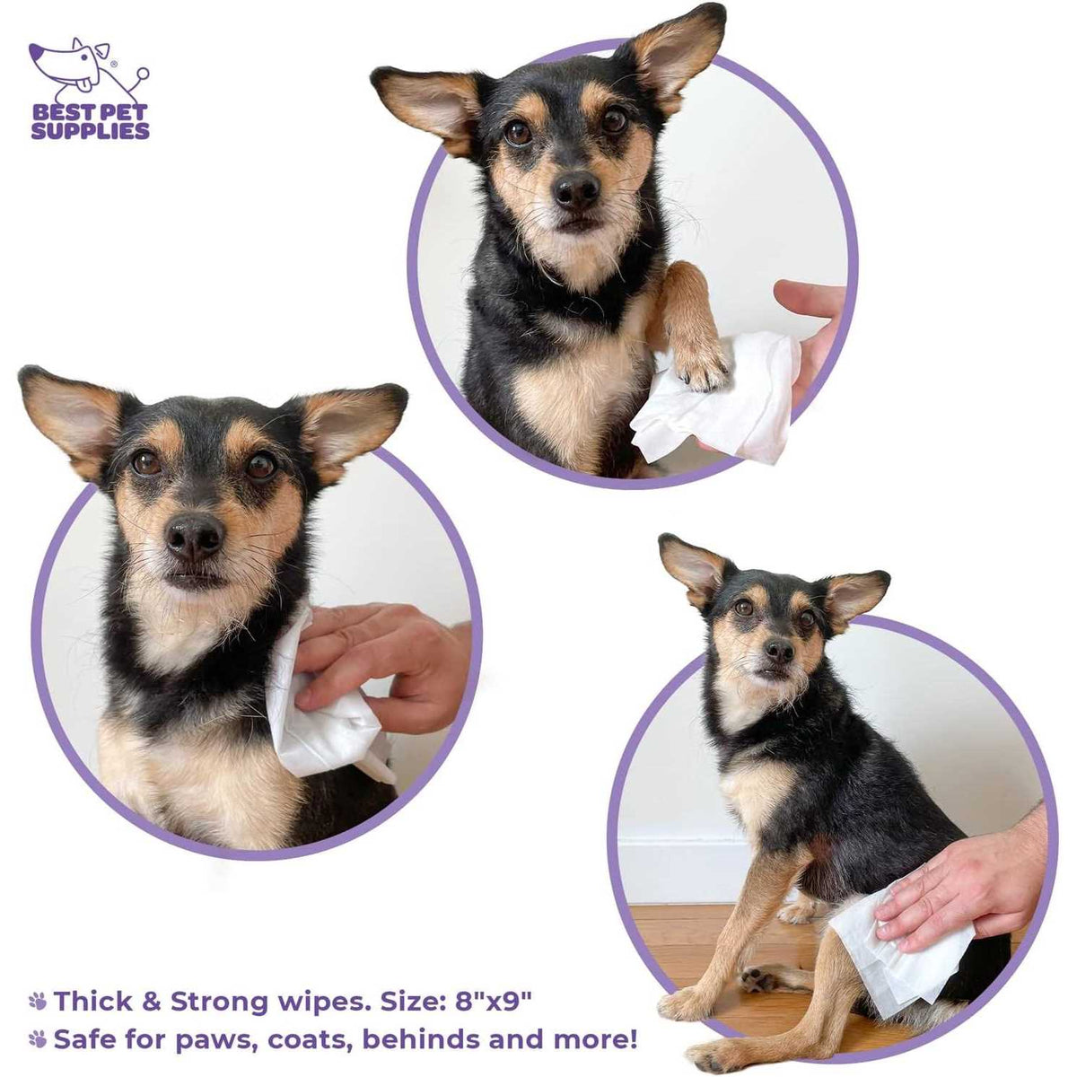 Pet Grooming Wipes for Dogs & Cats O364