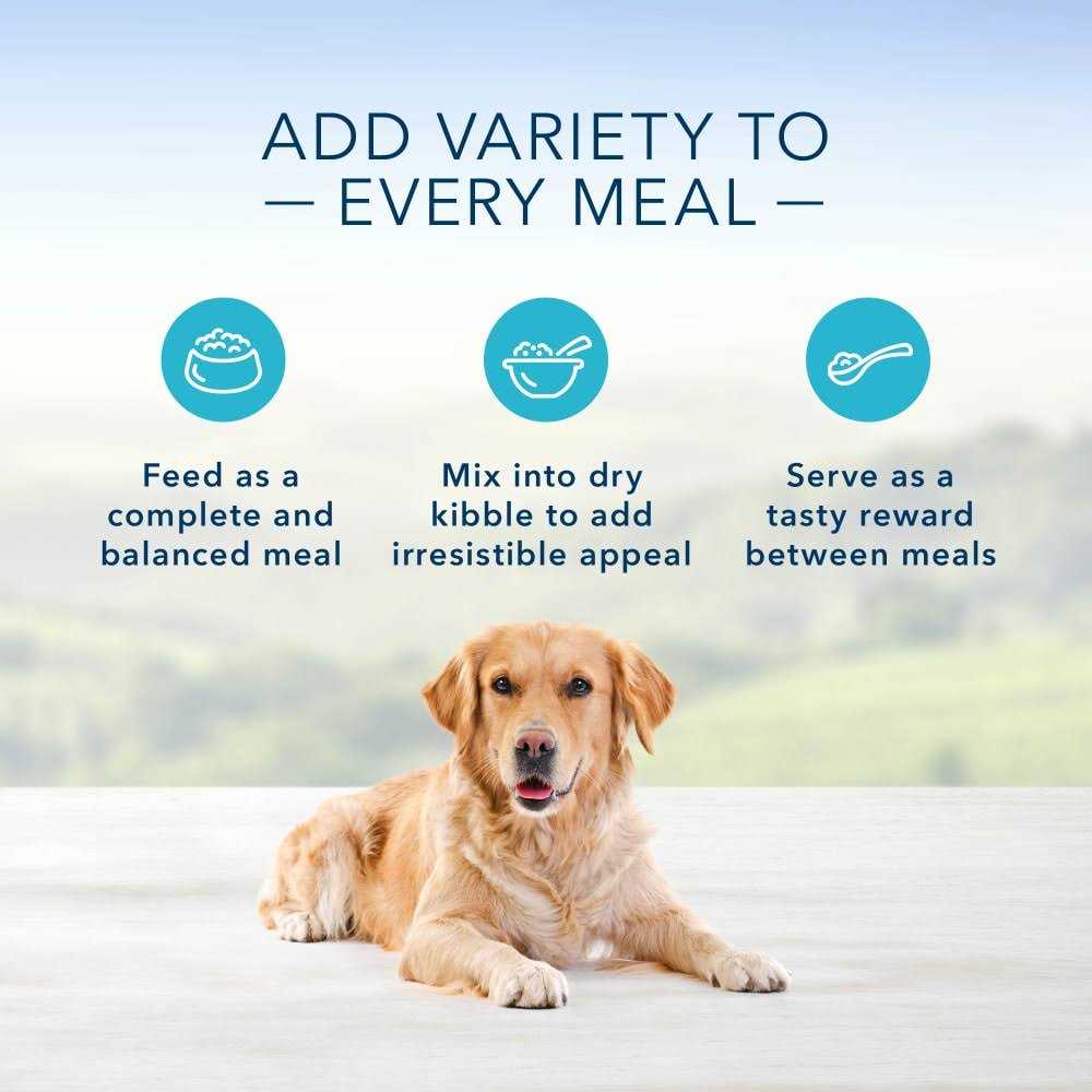 Turkey Meatloaf Dinner Wet Dog Food D411