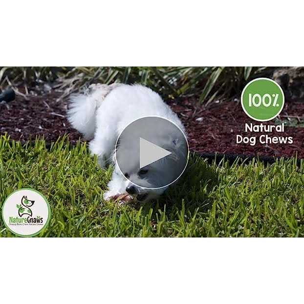 Natural Dog Chews Variety Pack E717