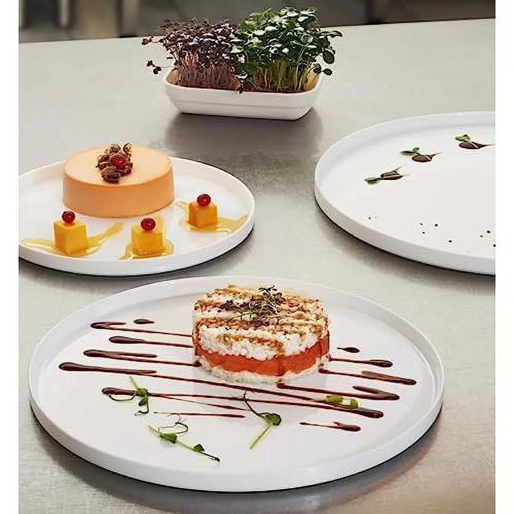 Set Of 6 Tempered Opal Glass Dinner Plates X335