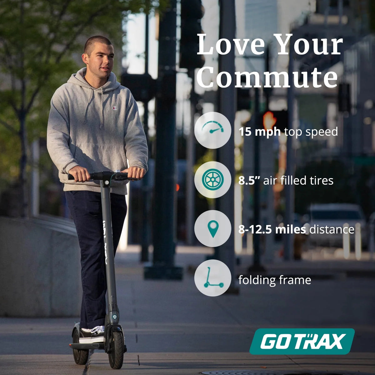 Gray 250W Foldable Electric Scooter R846