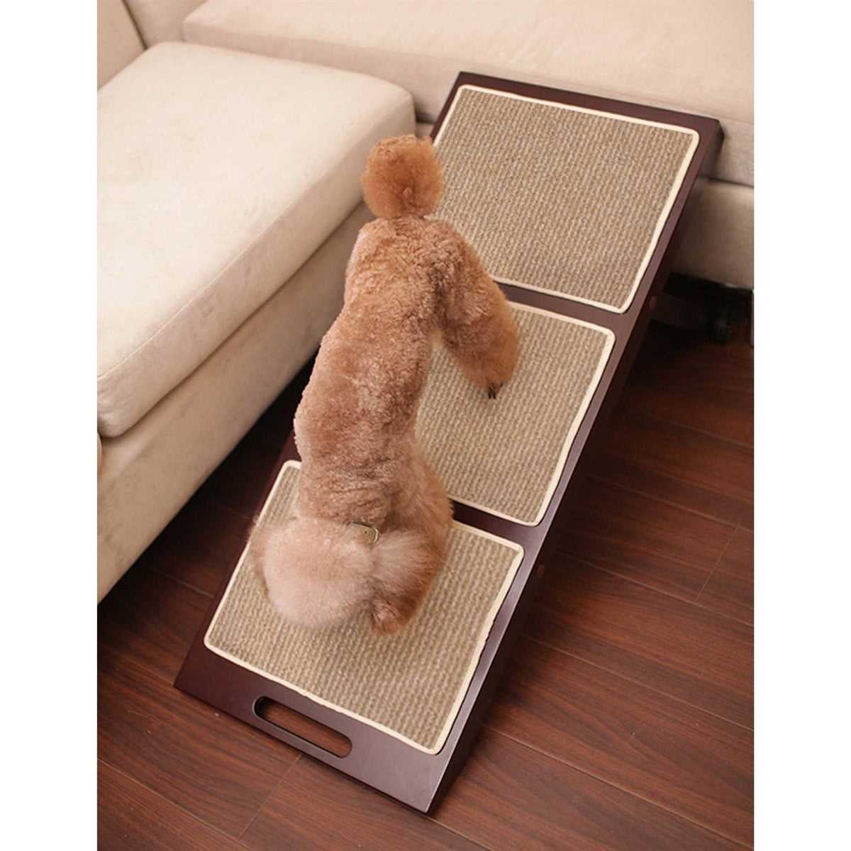 Collapsible Pet Ramp Q9568