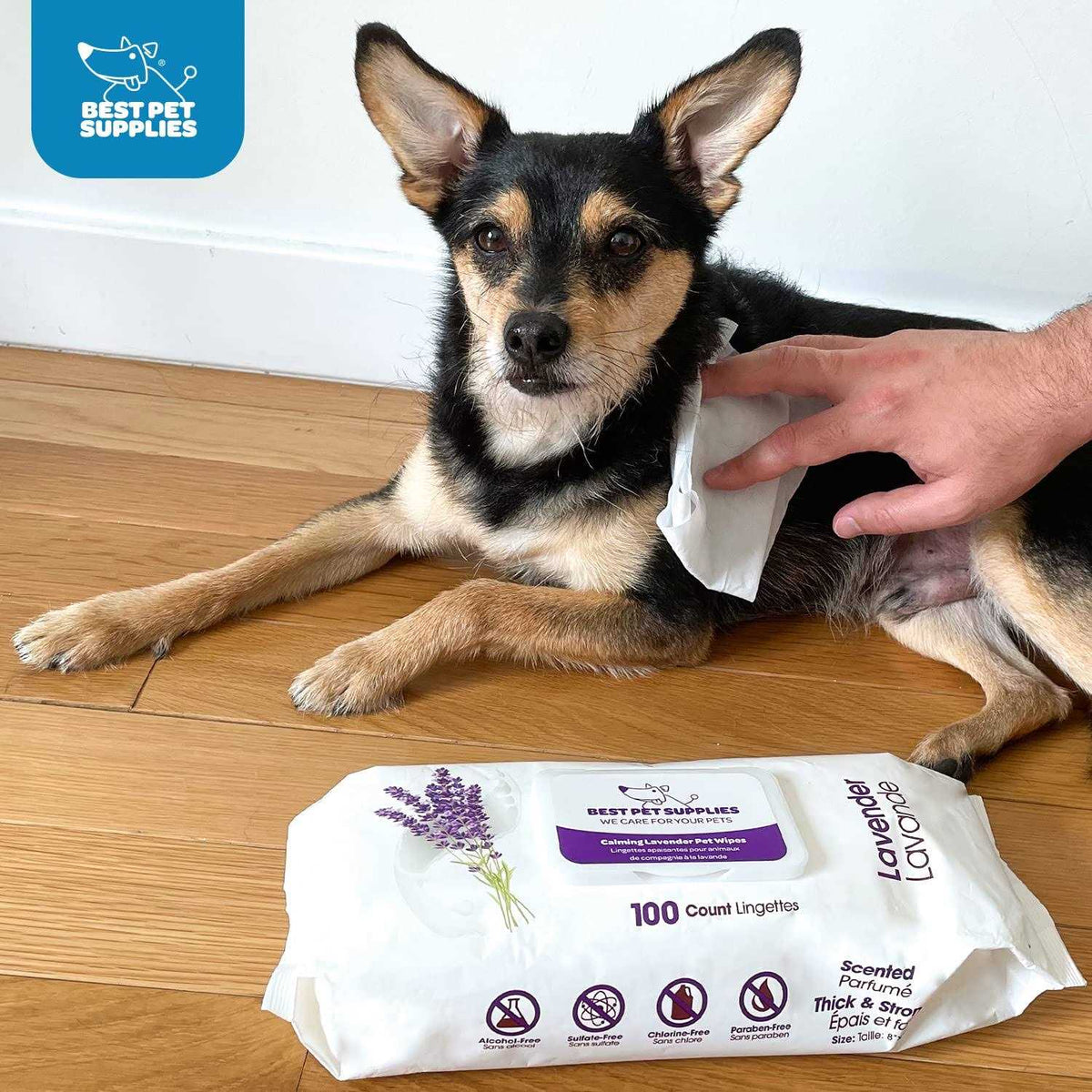 Pet Grooming Wipes for Dogs & Cats O364