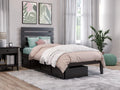 Twin Wood Platform Bed Frame with Set of 2 Storage Drawers D280402