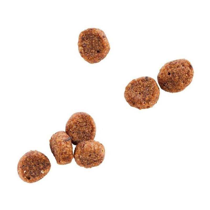 Grain Free Salmon Formula Dry Cat Food E5295