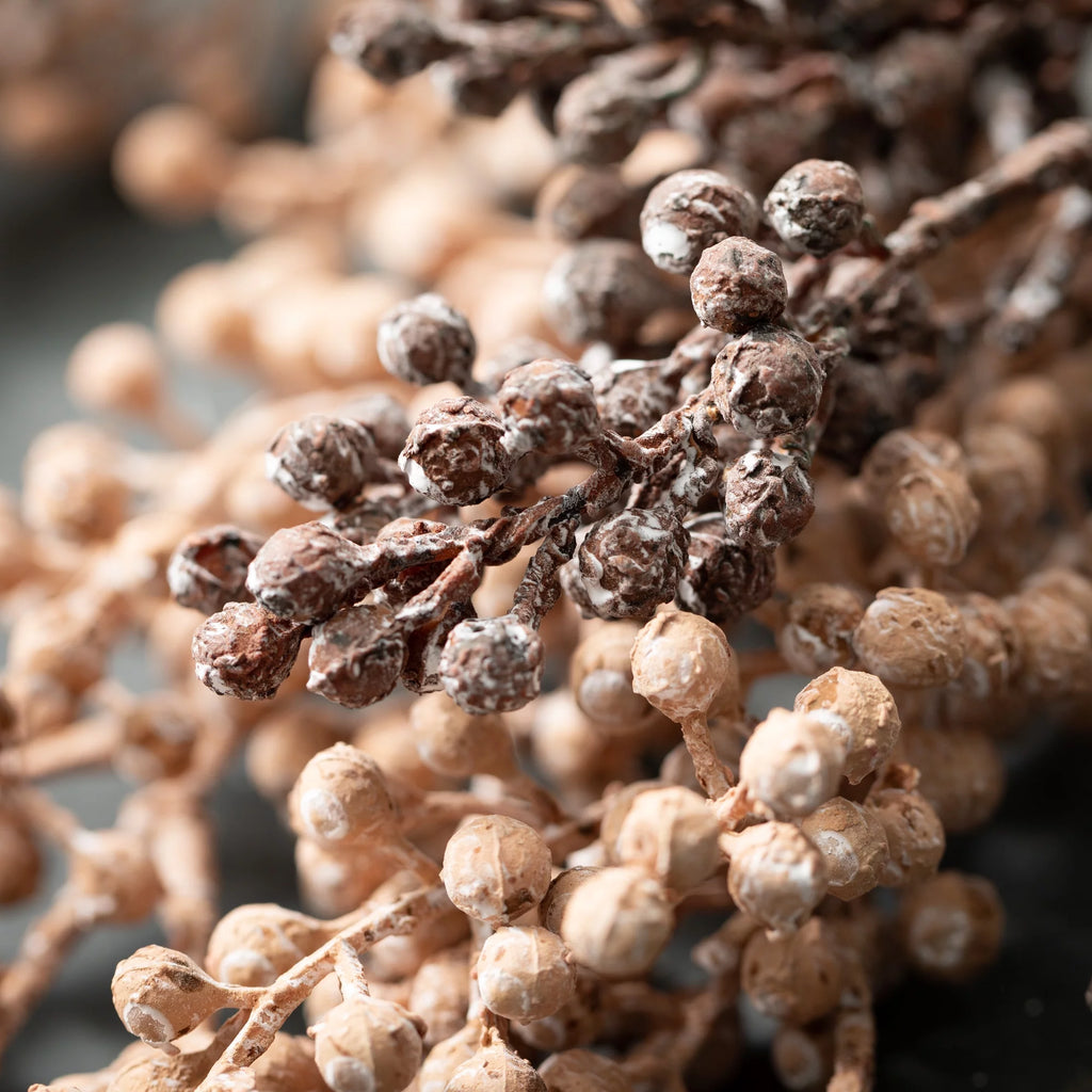 Artificial Dried Blush Berry Stem Set of 2 M81378