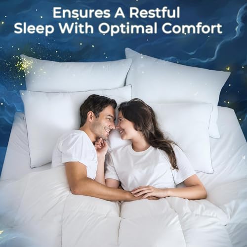 King Size Pillows Set of 4 Down Alternative B8589
