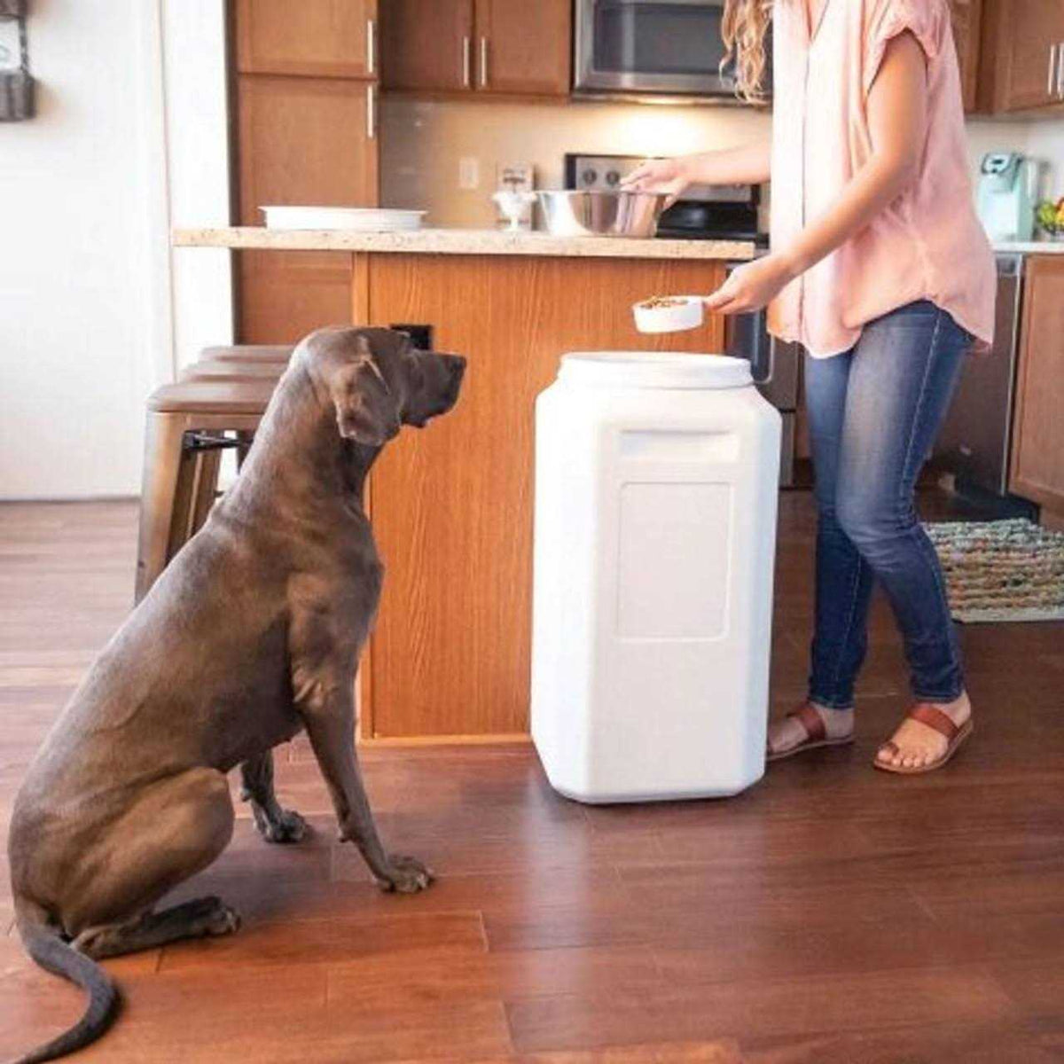 Pet Food Container I1555