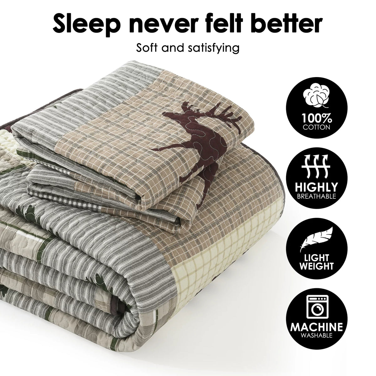 Cotton Queen Quilt 3-Piece Set F90563