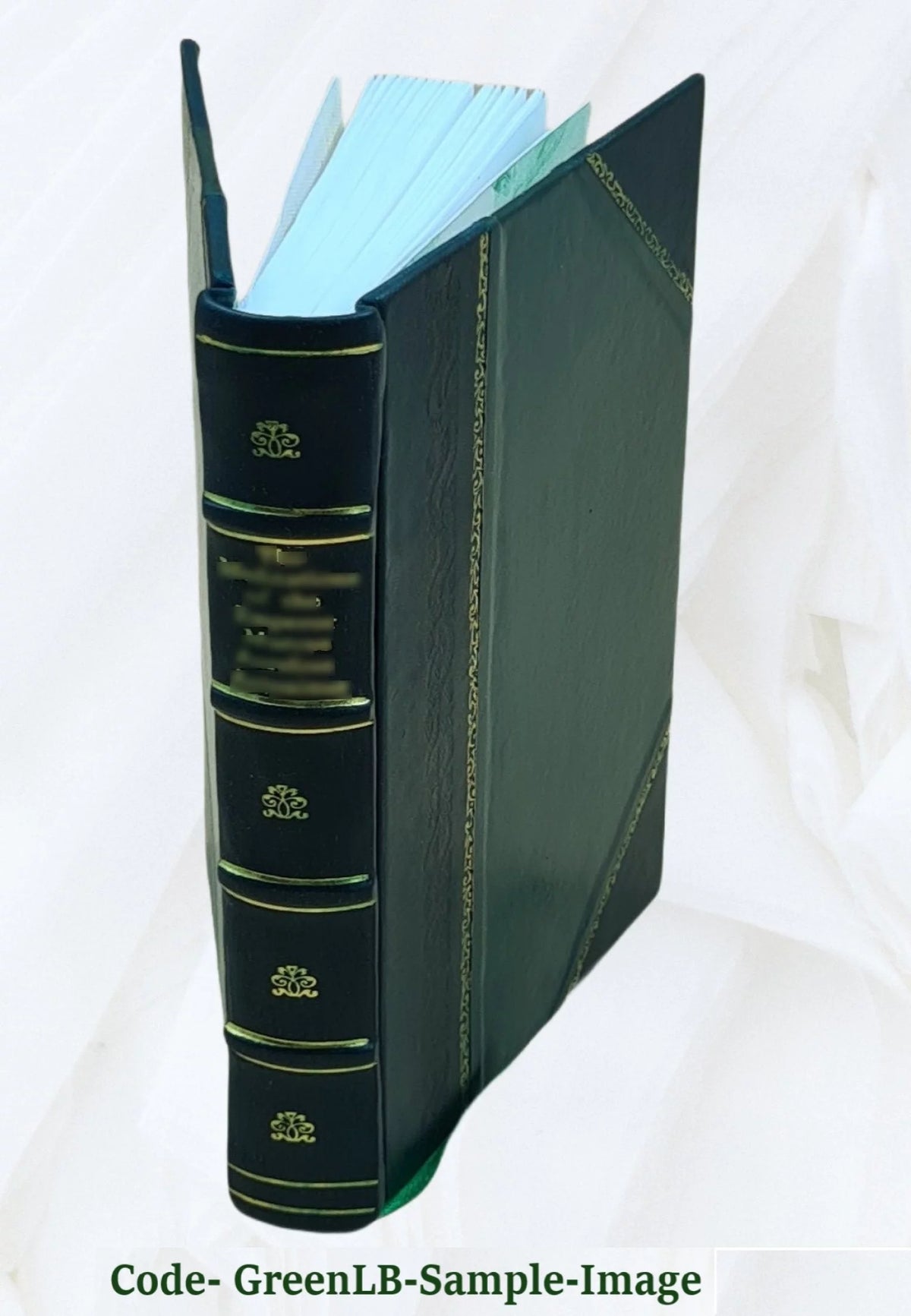 Leather Bound Book Q2683