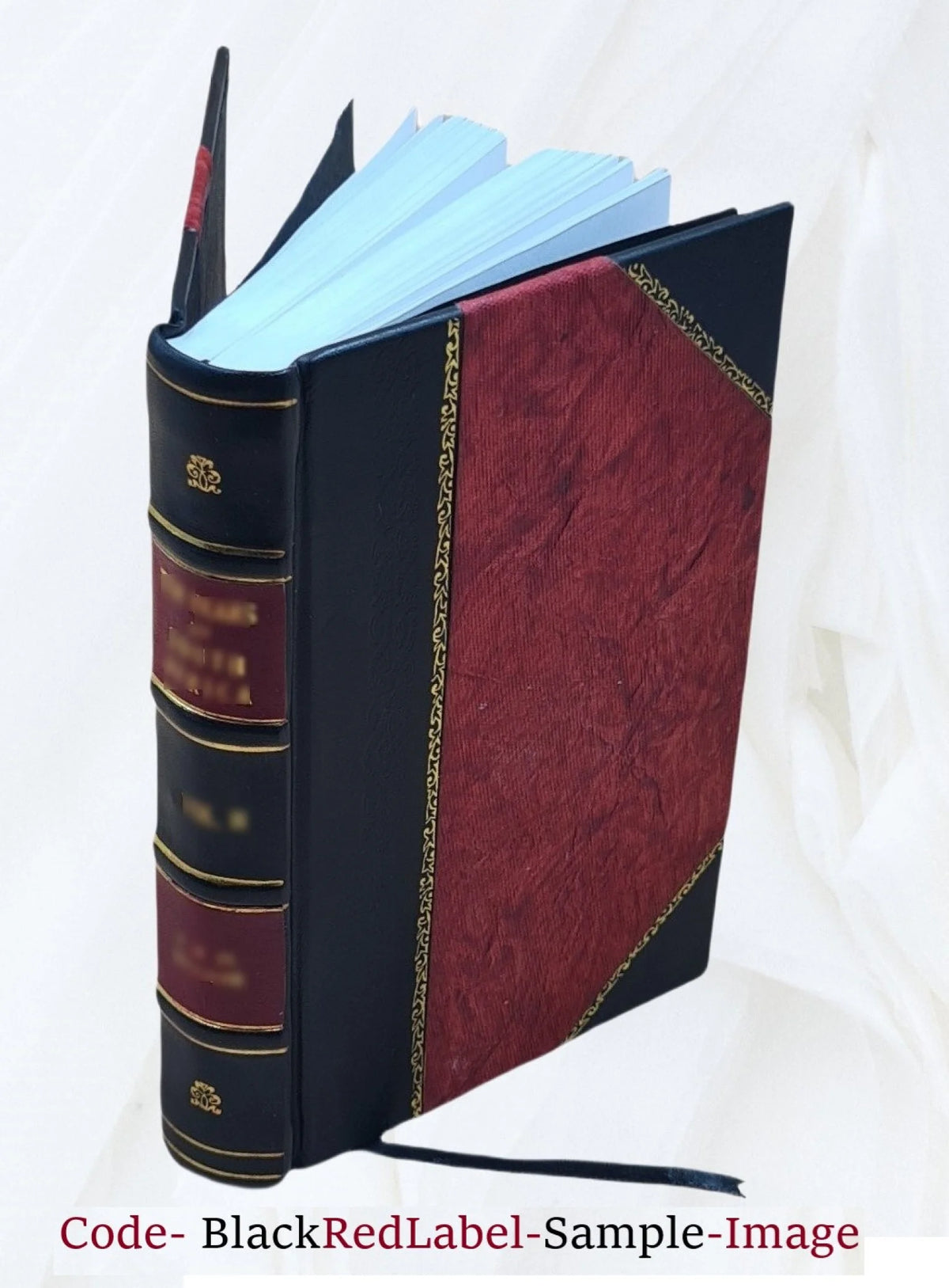 Leather Bound Book Q2683